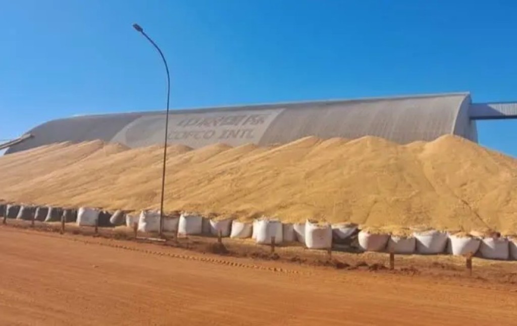 Déficit de armazenagem supera um terço da safra: 120 milhões de toneladas