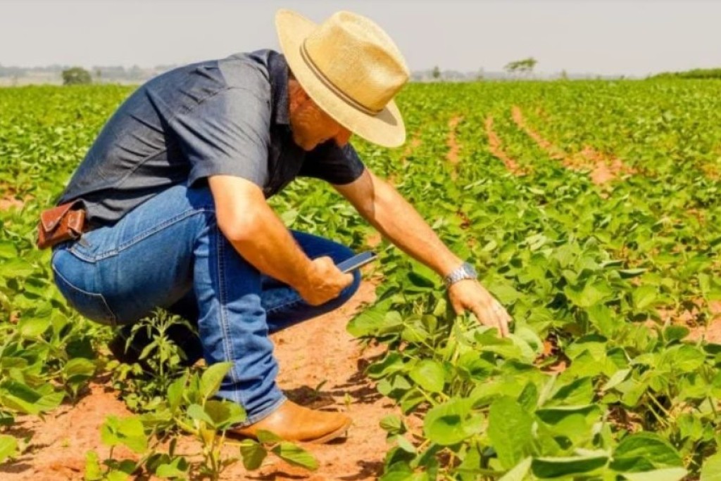 Sertão Vivo destina R$ 150 milhões para ampliar a agricultura no semiárido