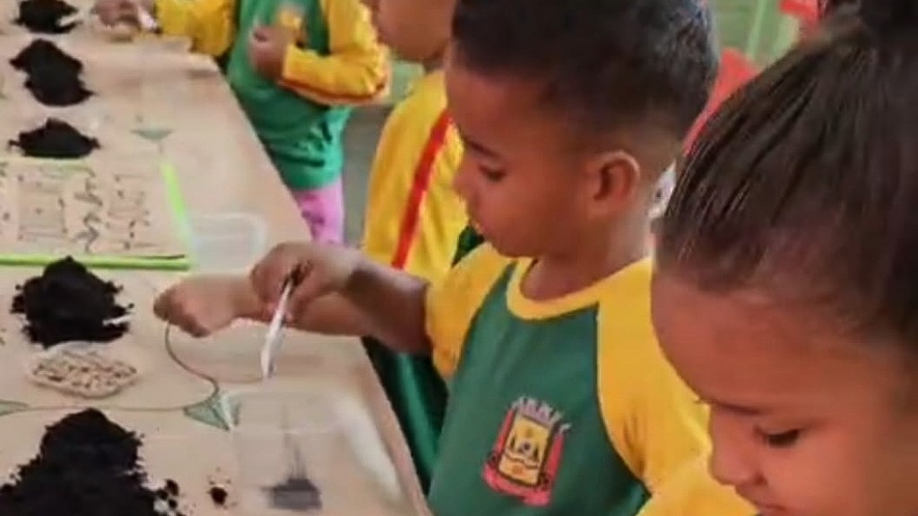 Meio ambiente é trabalhado na escola com reciclagem, plantação de alpiste e feijão