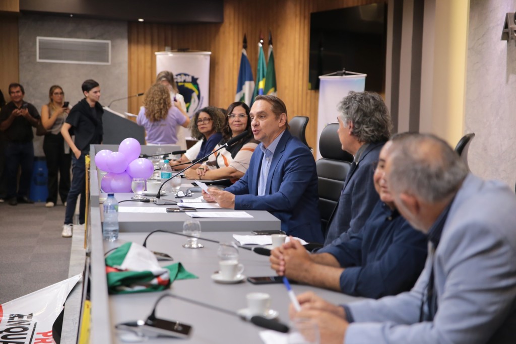 Audiência debate o enquadramento de profissionais da educação infantil como professores
