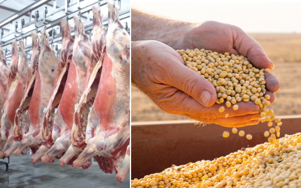 Carnes e soja fazem exportações do agro somar R$ 80 bilhões em maio