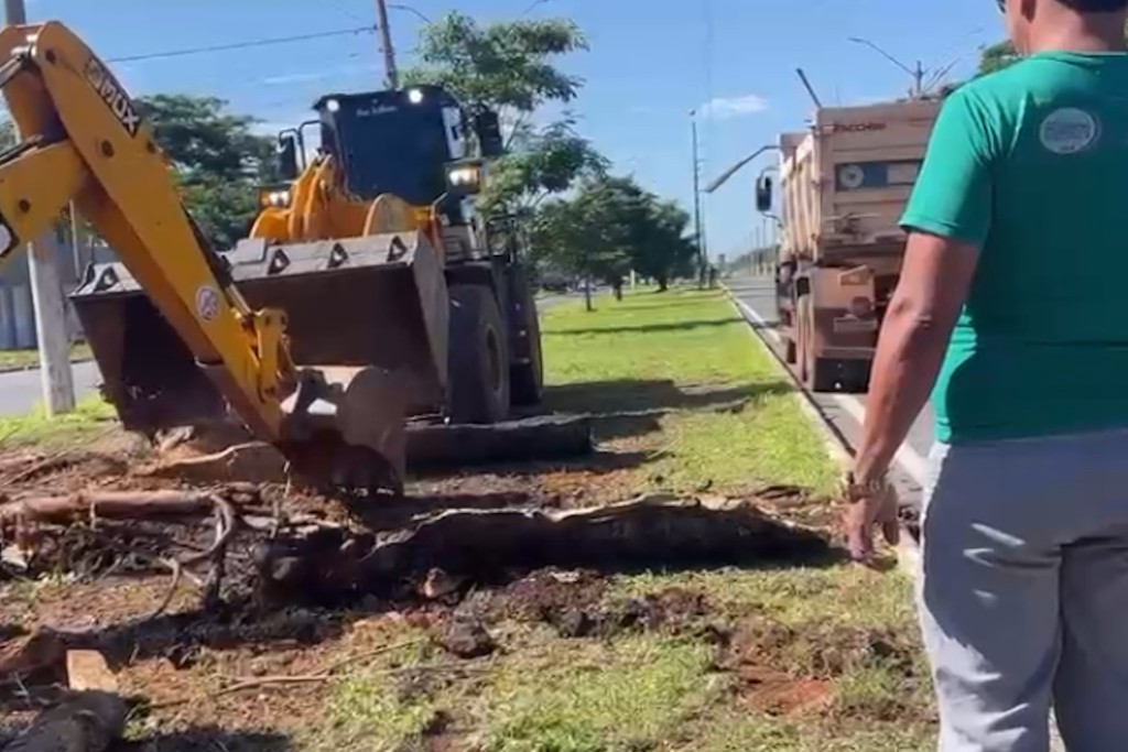 Figueirinha e Costa Verde recebem força-tarefa do VG em Ação nesta terça-feira (16)