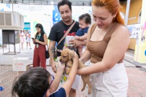 Prefeitura de Cuiabá realiza Feira de Adoção e credenciamento para vacinação no Parque Tia Nair