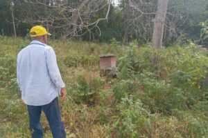 Diagnóstico revela potencial da apicultura para fortalecer a agricultura familiar em Várzea Grande