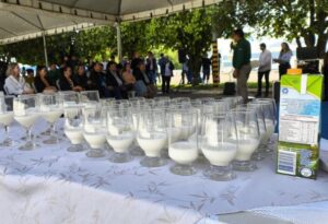 Dia do Leite: Estado lidera a produção nacional e mais de 60 mil produtores