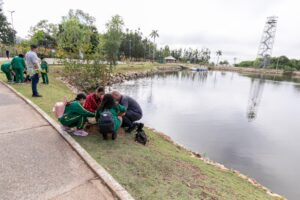 Craques da Natureza realiza 2ª edição com plantio de mudas na região do Pedra 90