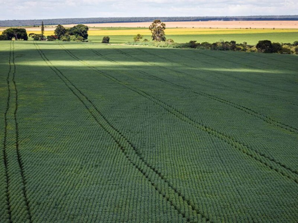 PIB do agro atinge R$ 279 bilhões e bate recorde na economia estadual