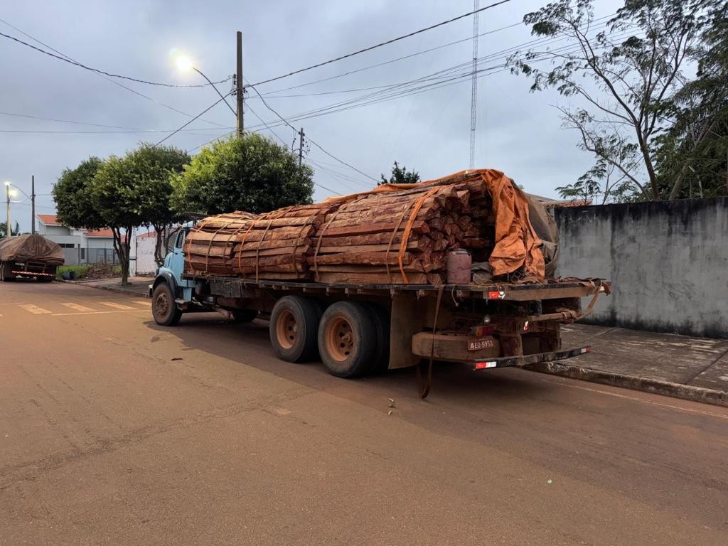 Polícia Civil apreende caminhões com 1.284 toras de madeira sem documentação em Vila Bela da Santíssima Trindade