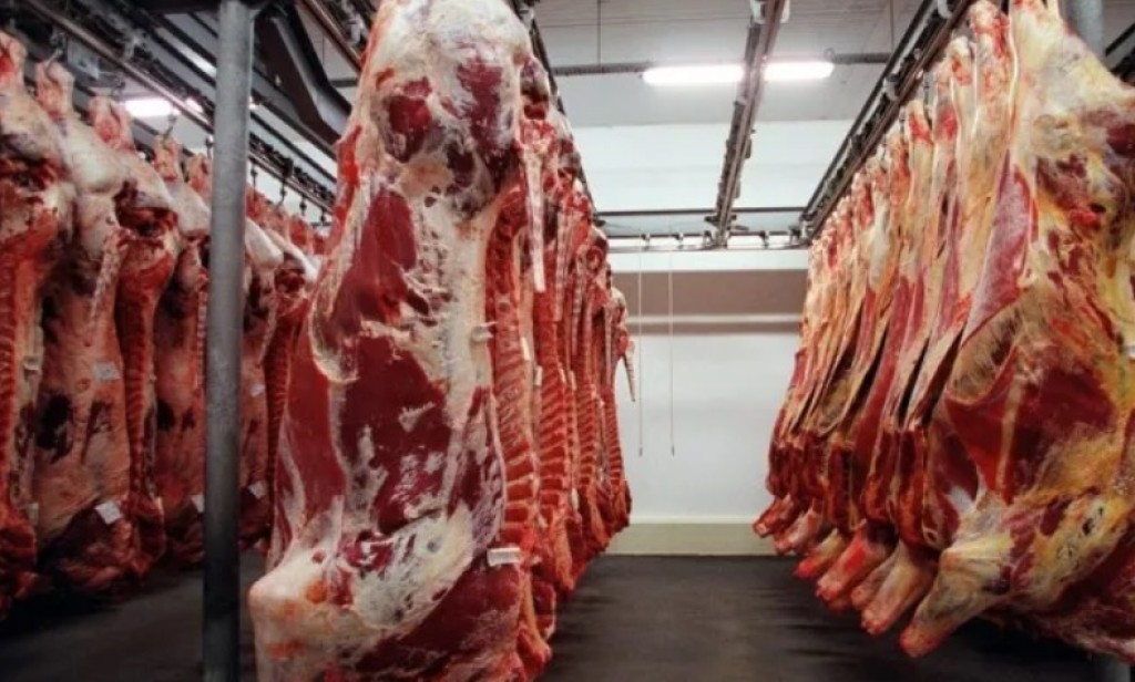 Fim da cota chinesa: produtores e governo agora correm para resolver
