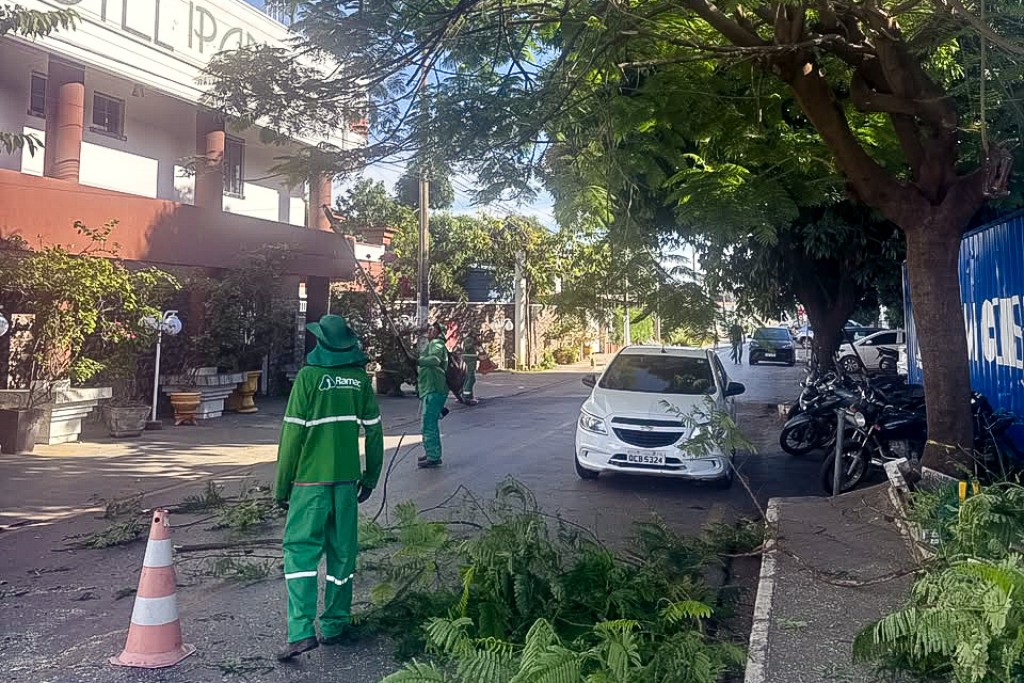 Prefeitura intensifica limpeza, poda de árvores e serviços de zeladoria no bairro Nova Várzea Grande