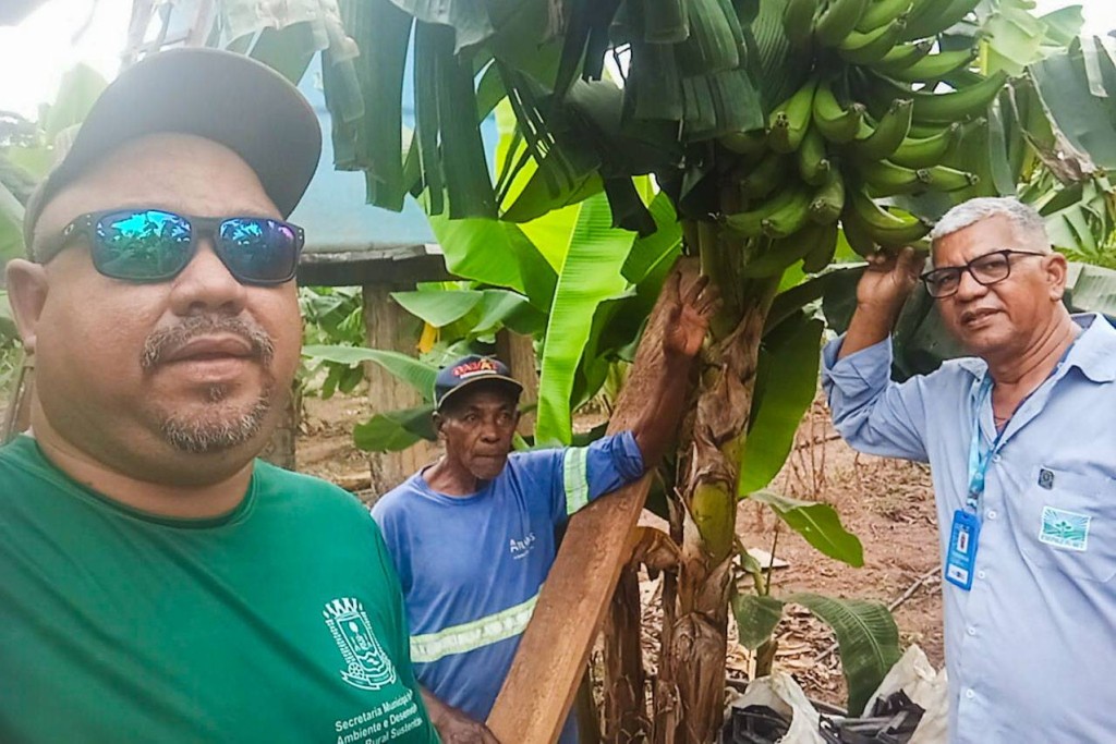Produtores da agricultura familiar iniciam colheita com apoio técnico em Várzea Grande