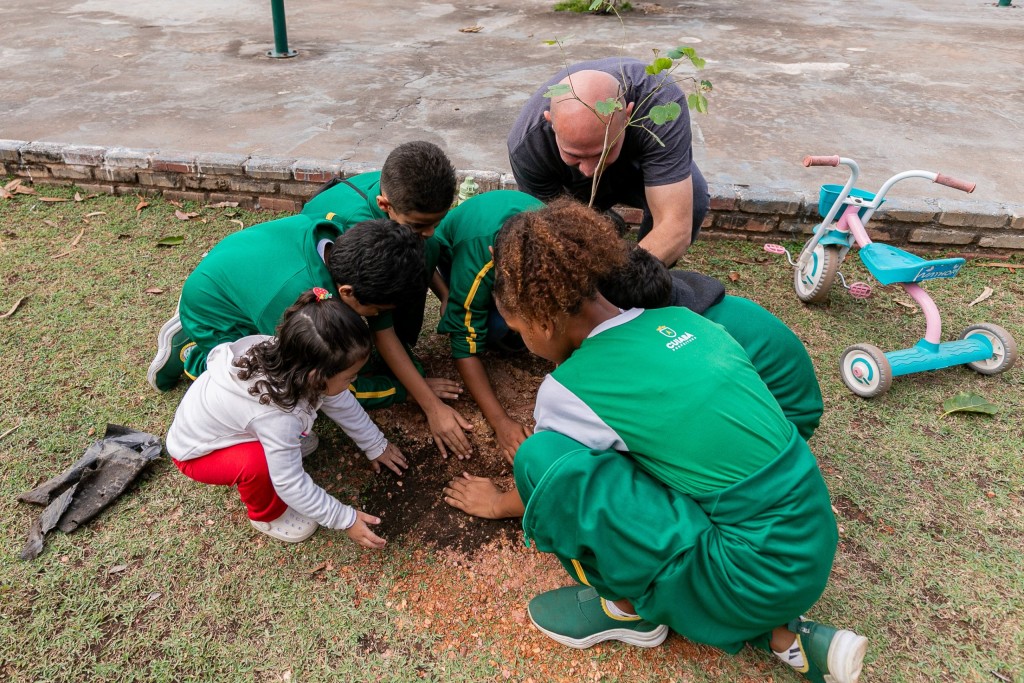 Craques da Natureza: veja onde e quando participar da produção de mudas em Cuiabá