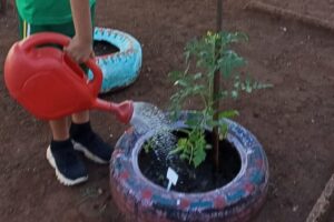 Pneus reciclados ganham nova função e ajudam a cultivar horta escolar em unidade da rede municipal