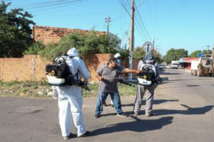 Saúde de Várzea Grande amplia monitoramento com ovitrampas e reforça bloqueio químico contra o Aedes aegypti