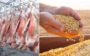 Brasil pode unificar rastreabilidade para blindar soja e carne à China e à União Europeia