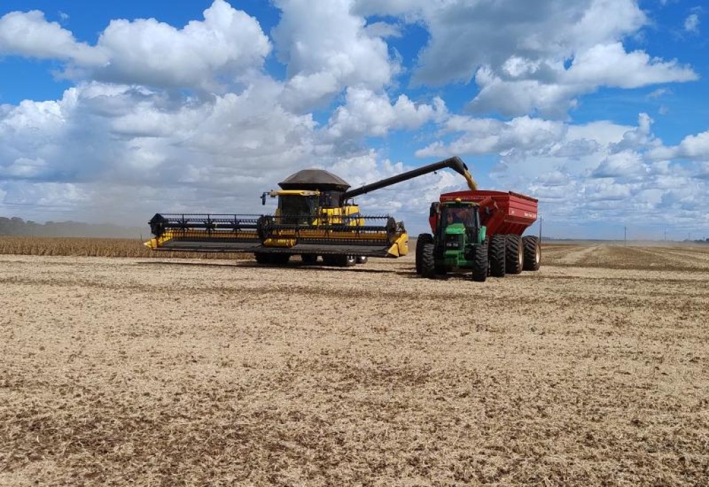 Exportações do agro crescem 12,4% e chegam a R$ 29 bilhões