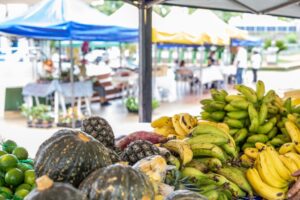 Feira na Praça Alencastro reúne mais de 60 expositores nesta terça-feira