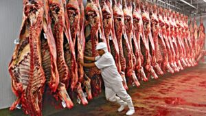 Além da UE, mais um país fecha a porta para a carne brasileira e China anuncia tarifa de 55%