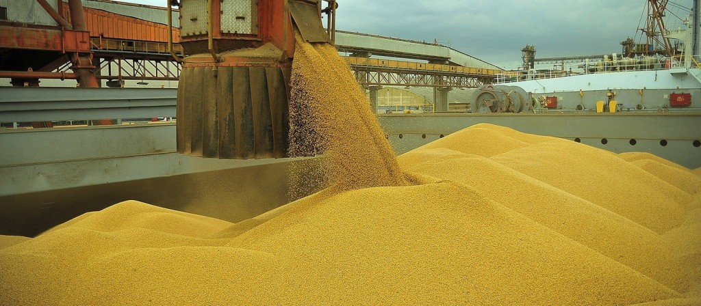 Embarques de milho aceleram com entrada da segunda safra