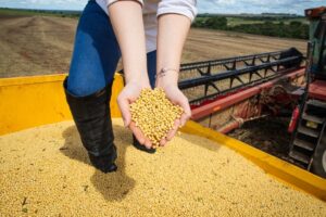 Soja, milho, algodão e sorgo levam safra a recorde de 360,8 milhões de toneladas