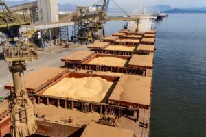 Exportações do agronegócio brasileiro alcançaram R$ 85,4 bilhões em julho