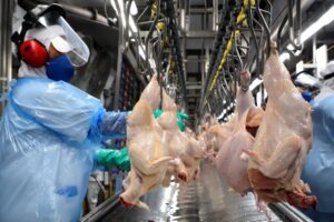 Atacado e exportação estabelecem ritmo recorde em agosto