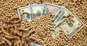 USDA eleva projeção da safra para 123 milhões de toneladas