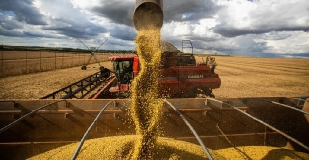 Sinop alcança 2º lugar em Mato Grosso e 25º no Brasil entre os maiores exportadores