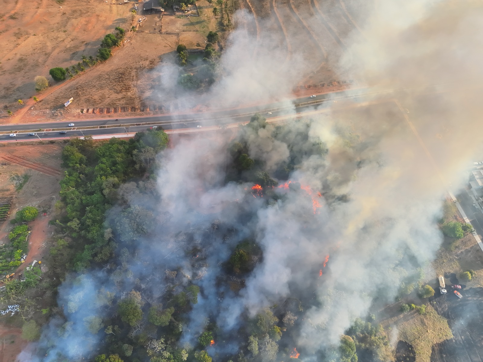 Fogo se alastra e cerca residências durante incêndio em área verde de Sorriso