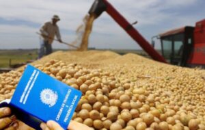 Agronegócio incorporou 190 mil trabalhadores no primeiro trimestre e viu renda crescer 2,7%
