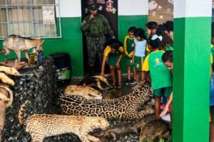 Alunos da rede municipal aprendem sobre preservação ambiental em palestras e exposição de animais silvestres