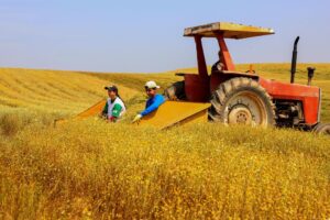 Agro supera R$ 200 bilhões e bate recorde com força de grãos e proteínas