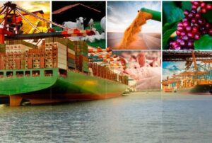 Agro amplia exportações em agosto com avanço da soja, café e frango
