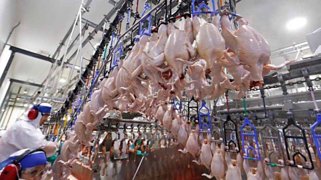 Produção de frangos cresce quase o dobro da média nacional