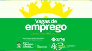 Primavera do Leste tem 250 vagas de emprego disponíveis pelo Sine