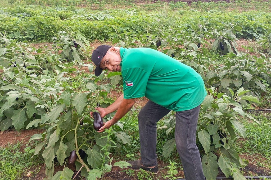 Assistência técnica acompanha colheita da agricultura familiar em Várzea Grande