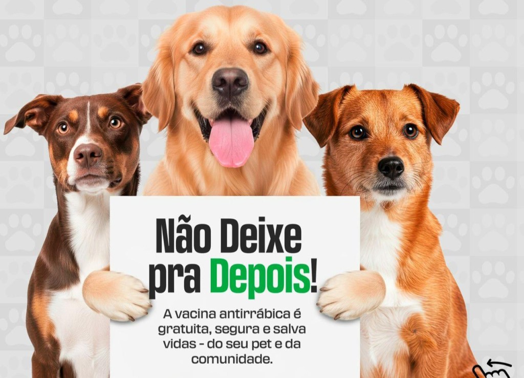 Primavera do Leste realiza campanha de vacinação antirrábica para cães e gatos em setembro