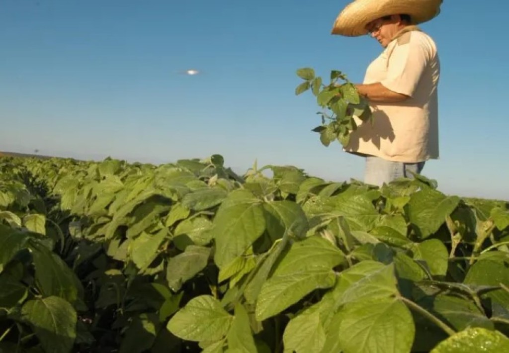 Matopiba desponta como nova fronteira da produtividade no Brasil