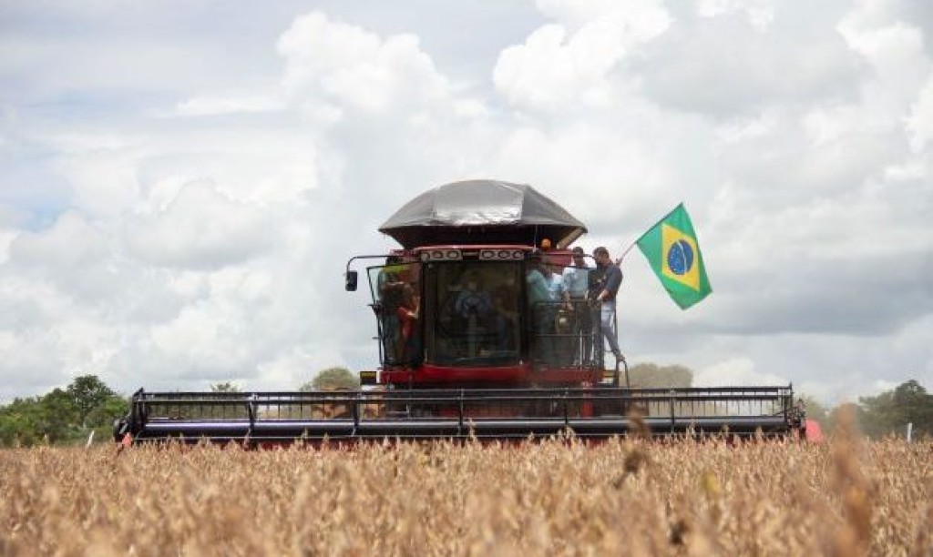 Independência ou morte: Brasil alimenta o mundo, mas ainda depende do exterior