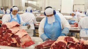 China vem avaliar frigoríficos e exiger controle maior de resíduos no campo