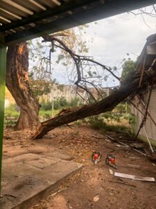 Após chuva, Prefeitura auxilia enfermeira atingida por árvore e remaneja serviços da USF Lixeira Baú