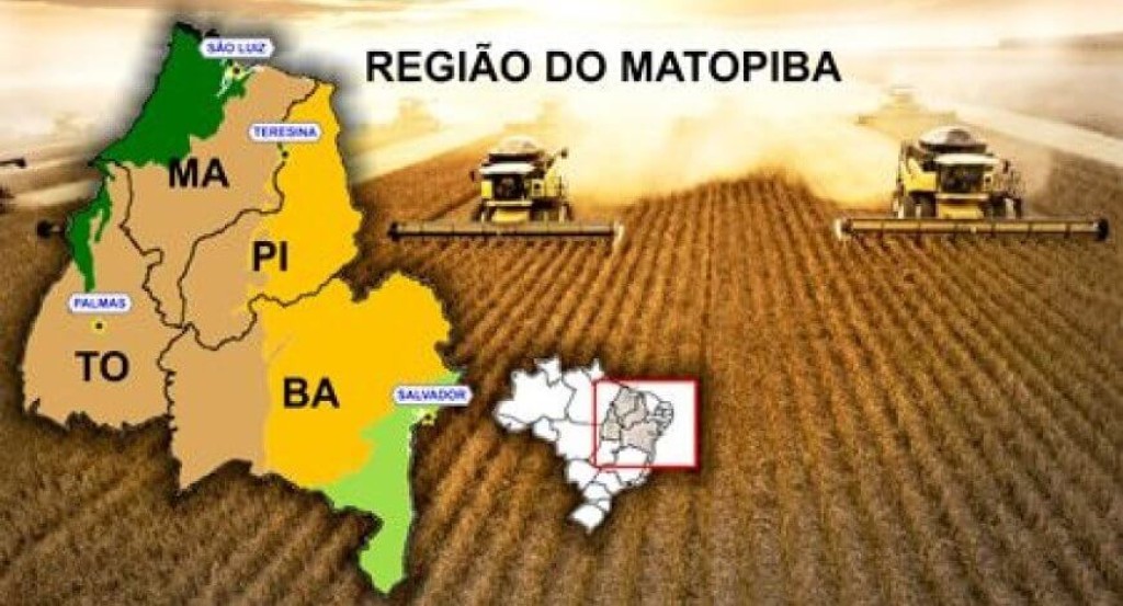 Região reforça defesa de soja e algodão contra pragas antes da nova safra