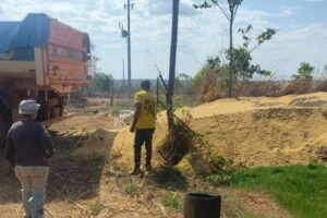 Casquinha de soja reforça alimentação do gado e apoia produtores rurais de Várzea Grande