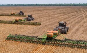 Brasil abre nova safra de soja com vantagem de 58 milhões de toneladas sobre os EUA