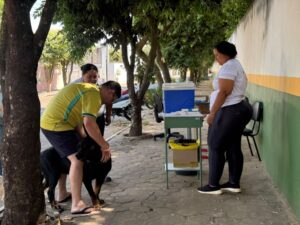 Primavera do Leste amplia vacinação antirrábica com cronograma estendido em bairros