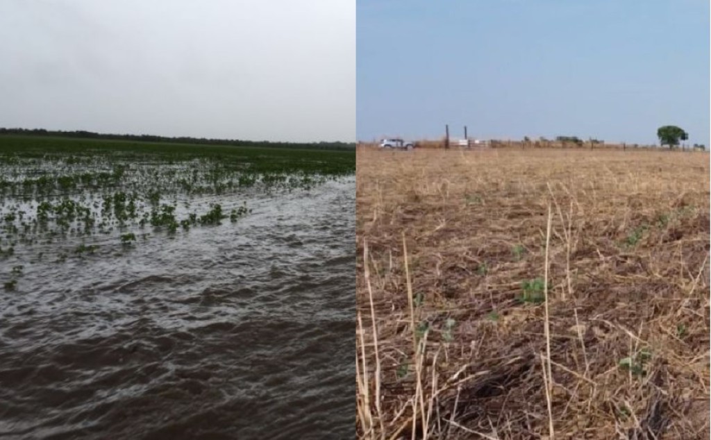 Chuva falha no Centro-Oeste e sobra no Sul na largada da safra