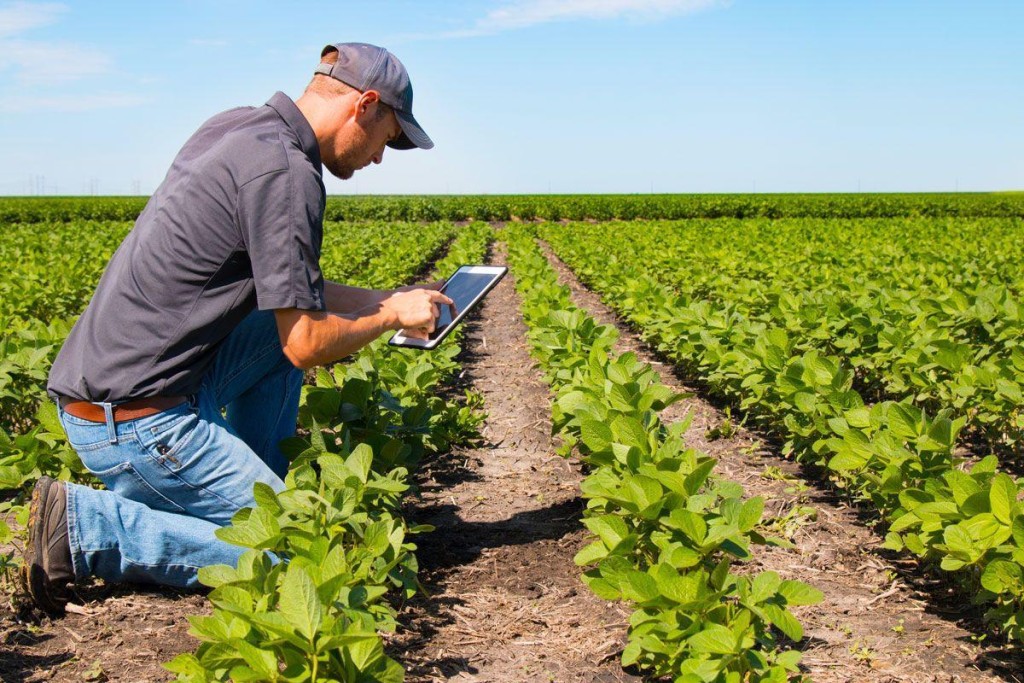 Agro tem até dia 30 para escolher tributação que pode alterar competitividade em 2027