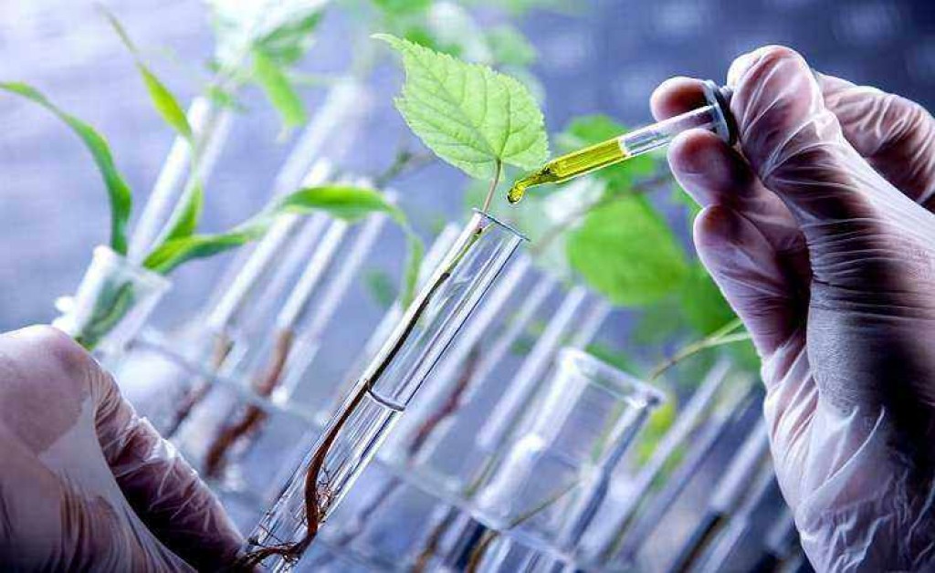 Uso de bioinsumos pode elevar a receita obtida com a soja em R$ 28,5 bilhões por safra
