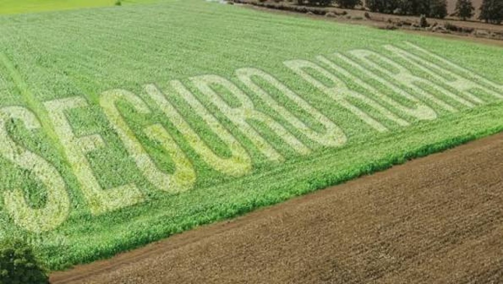 Seguro rural ganha verba protegida e prazo para indenizar