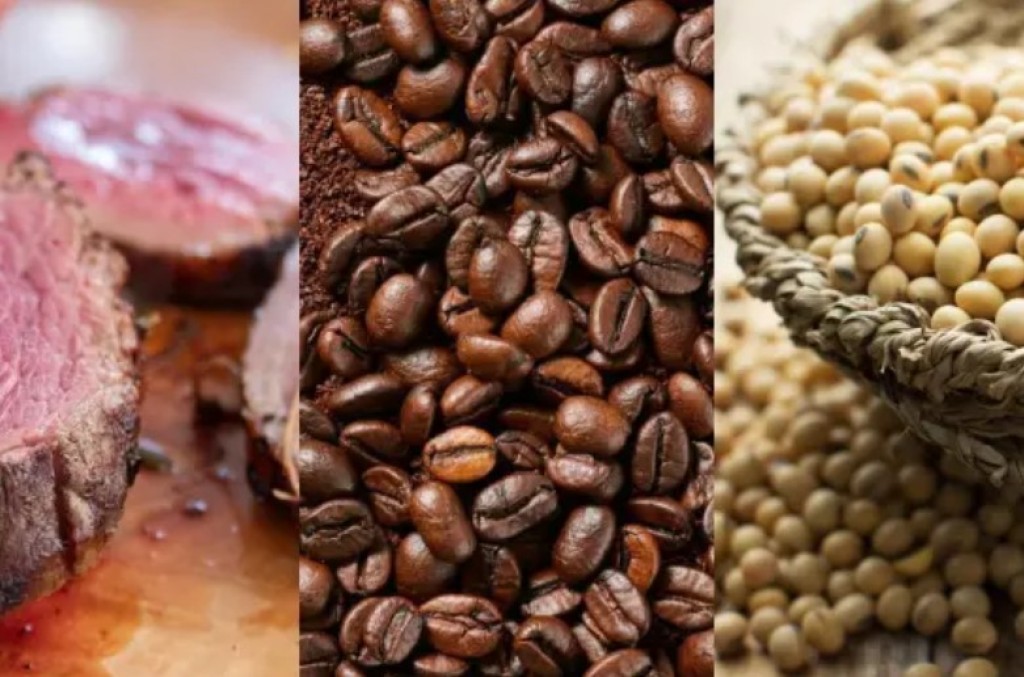 Carne, café e soja terão que comprovar origem a partir de 30 de dezembro
